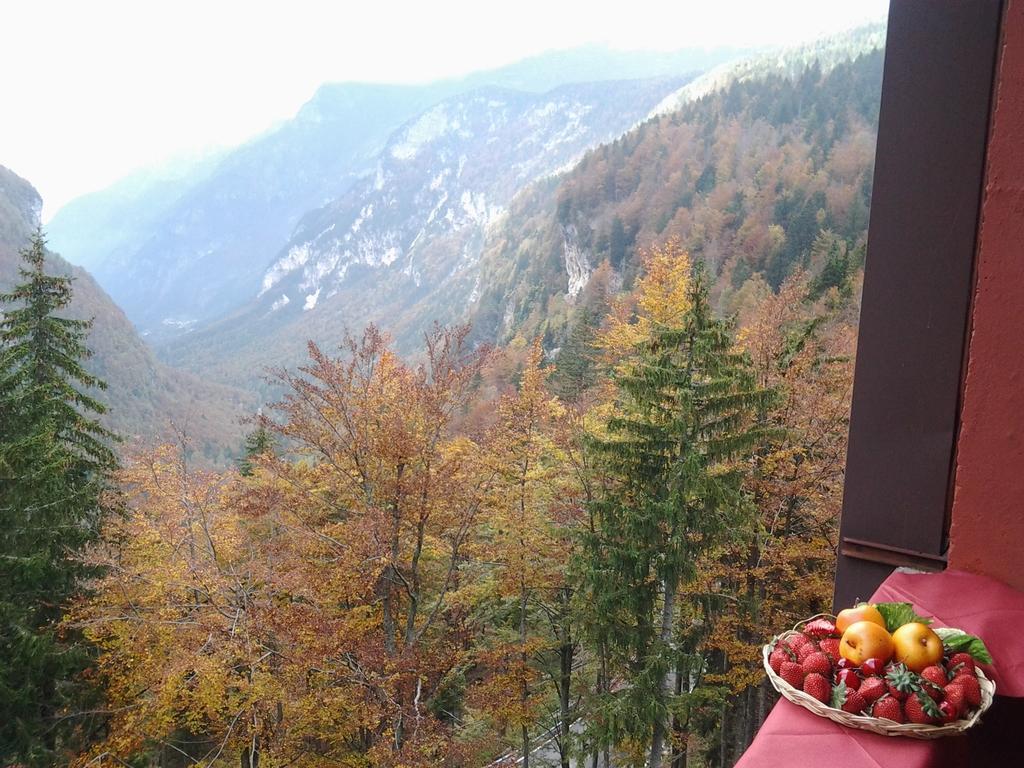 Sport Hotel Forte Sella Nevea Εξωτερικό φωτογραφία